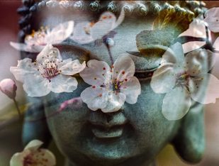 Massage thai ou nuad boran, Mulhouse, 68